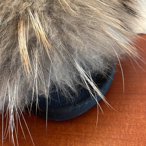 Fox Slides - Picture 4 of 10